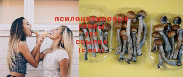 apvp Баксан